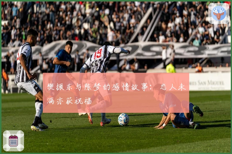 樊振东与陈梦的感情故事：恋人未满亦获祝福